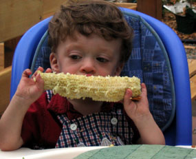 alex_corn.jpg