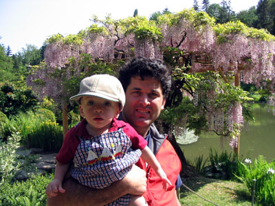 alexander_dad_wisteria.jpg