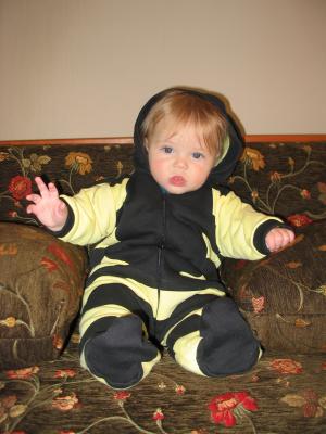 bumblebee.jpeg