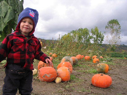 pumpkin patch kid