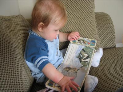 reading.JPG